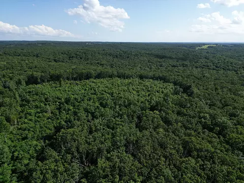 00 Forest Road 7989, Plato, MO 65552 photo 58