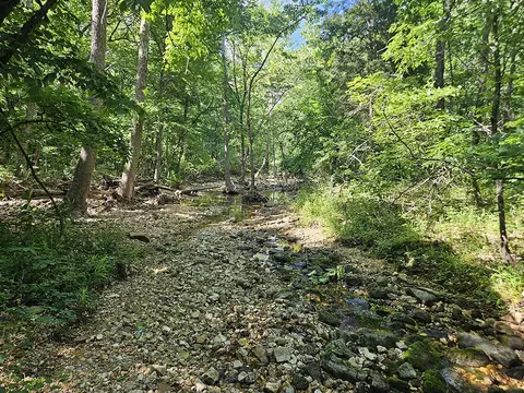 00 Forest Road 7989, Plato, MO 65552 photo 37