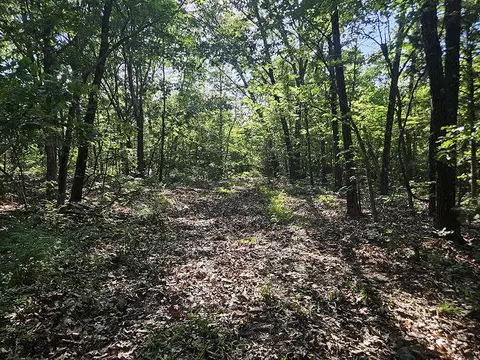 00 Forest Road 7989, Plato, MO 65552 photo 44