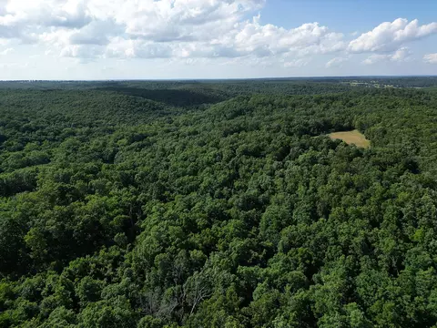 00 Forest Road 7989, Plato, MO 65552 photo 57