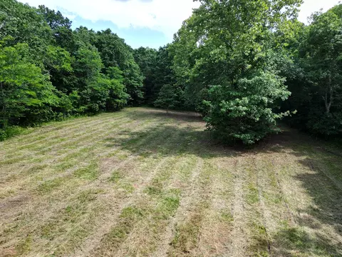 00 Forest Road 7989, Plato, MO 65552 photo 53