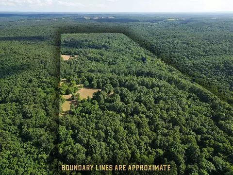 00 Forest Road 7989, Plato, MO 65552 photo 8