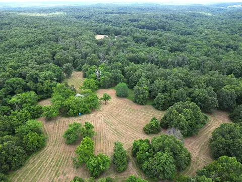 00 Forest Road 7989, Plato, MO 65552 photo 47
