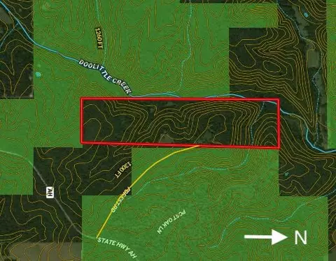 00 Forest Road 7989, Plato, MO 65552 photo 63