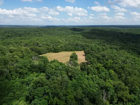 00 Forest Road 7989, Plato, MO 65552 photo 50