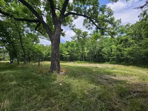 00 Forest Road 7989, Plato, MO 65552 photo 26