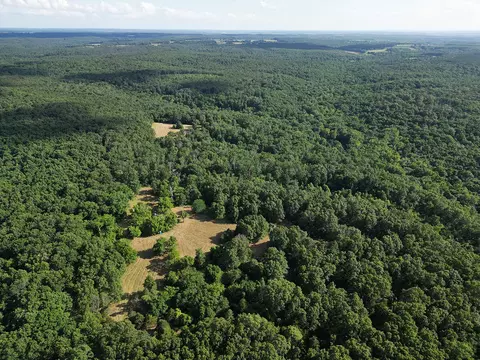 00 Forest Road 7989, Plato, MO 65552 photo 59