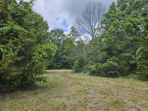 00 Forest Road 7989, Plato, MO 65552 photo 15