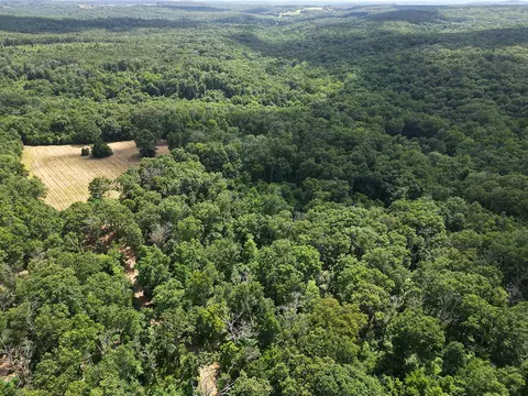 00 Forest Road 7989, Plato, MO 65552 photo 49