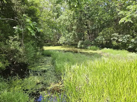 00 Forest Road 7989, Plato, MO 65552 photo 28