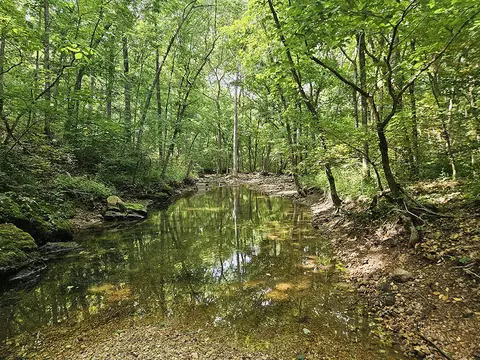 00 Forest Road 7989, Plato, MO 65552 photo 4