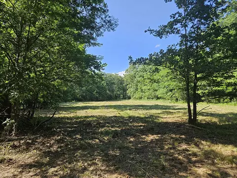 00 Forest Road 7989, Plato, MO 65552 photo 41
