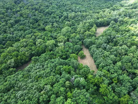 00 Forest Road 7989, Plato, MO 65552 photo 54