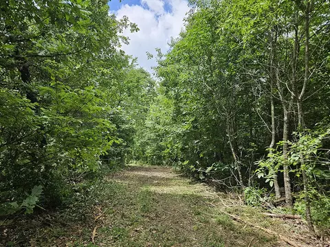 00 Forest Road 7989, Plato, MO 65552 photo 14