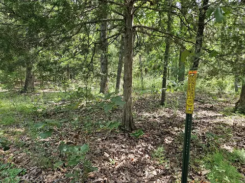 00 Forest Road 7989, Plato, MO 65552 photo 11