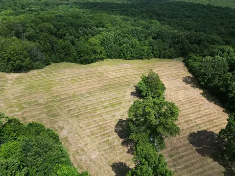 00 Forest Road 7989, Plato, MO 65552 photo 51