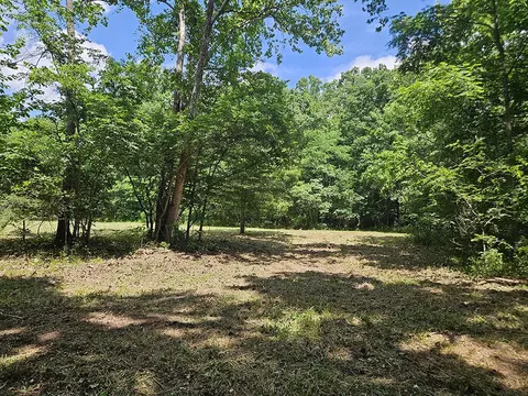 00 Forest Road 7989, Plato, MO 65552 photo 34
