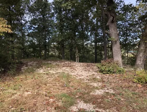 000 Clear Springs Trl, Windyville, MO 65783
