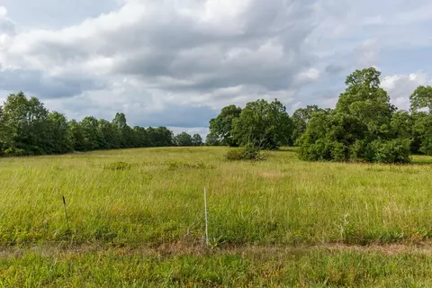 Other - 10175 Doe Run Rd, Phillipsburg, MO 65722 photo 4 of 6