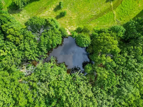 Other - 10175 Doe Run Rd, Phillipsburg, MO 65722 photo 6 of 6