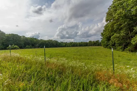 Other - 10175 Doe Run Rd, Phillipsburg, MO 65722 photo 3 of 6