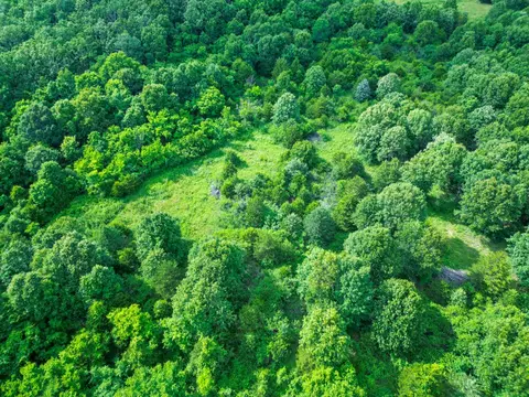 View/Area - 10175 Doe Run Rd, Phillipsburg, MO 65722 photo 10 of 10