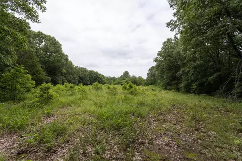 000 County Road Dd 447, Chadwick, MO 65629 photo 59