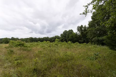000 County Road Dd 447, Chadwick, MO 65629 photo 74