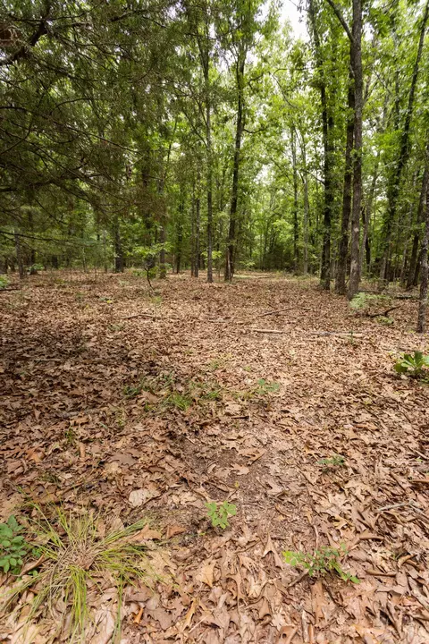 000 County Road Dd 447, Chadwick, MO 65629 photo 55