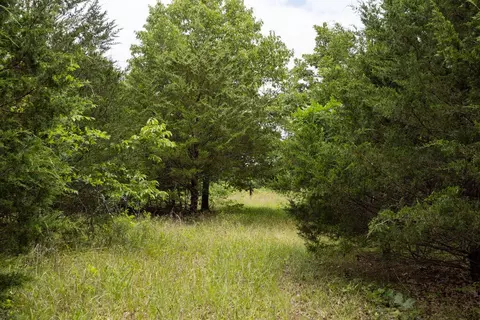 000 County Road Dd 447, Chadwick, MO 65629 photo 63