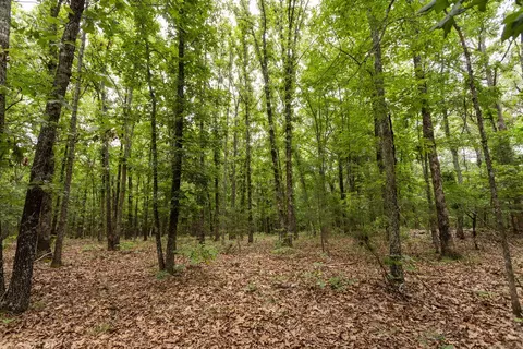 000 County Road Dd 447, Chadwick, MO 65629 photo 54