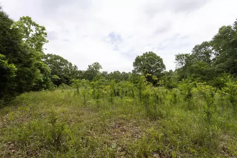 000 County Road Dd 447, Chadwick, MO 65629 photo 73