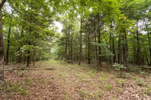 000 County Road Dd 447, Chadwick, MO 65629 photo 82