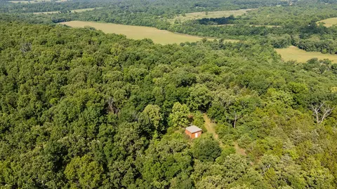 000 County Road Dd 447, Chadwick, MO 65629 photo 28