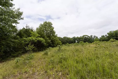 000 County Road Dd 447, Chadwick, MO 65629 photo 65