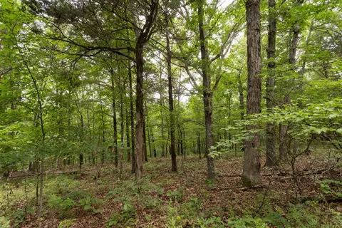 000 County Road Dd 447, Chadwick, MO 65629 photo 47