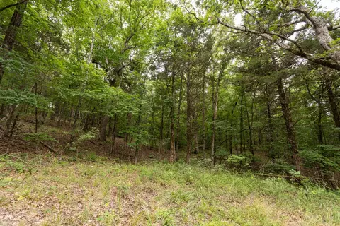 000 County Road Dd 447, Chadwick, MO 65629 photo 46
