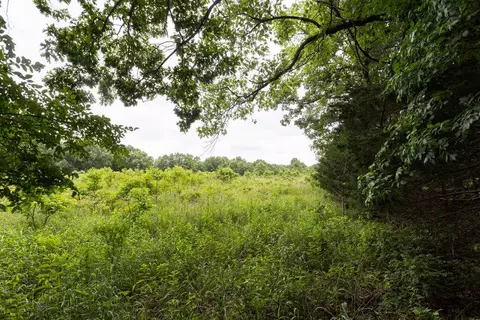 000 County Road Dd 447, Chadwick, MO 65629 photo 77