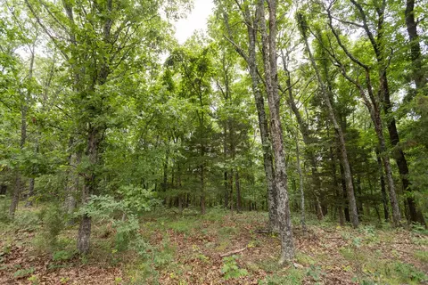 000 County Road Dd 447, Chadwick, MO 65629 photo 67