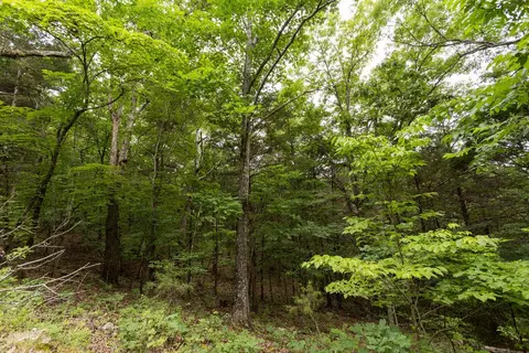 000 County Road Dd 447, Chadwick, MO 65629 photo 45