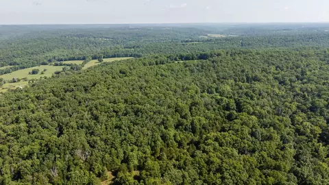 000 County Road Dd 447, Chadwick, MO 65629 photo 18