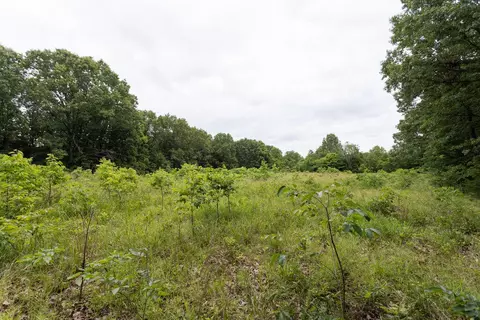 000 County Road Dd 447, Chadwick, MO 65629 photo 60