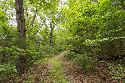 000 County Road Dd 447, Chadwick, MO 65629 photo 44