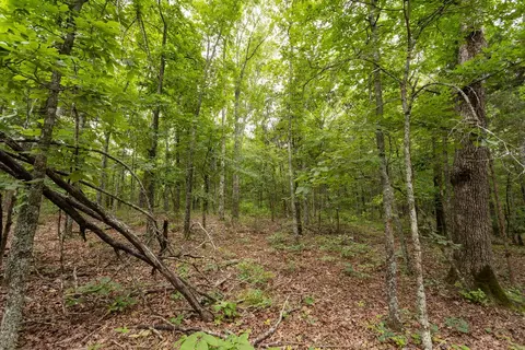 000 County Road Dd 447, Chadwick, MO 65629 photo 48