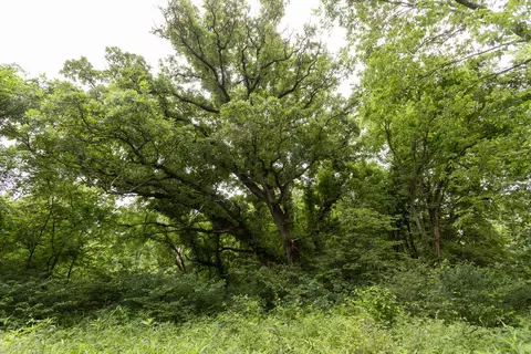 000 County Road Dd 447, Chadwick, MO 65629 photo 84