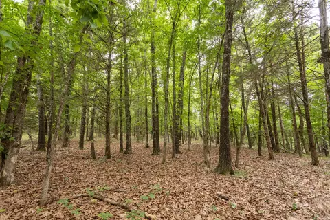 000 County Road Dd 447, Chadwick, MO 65629 photo 81