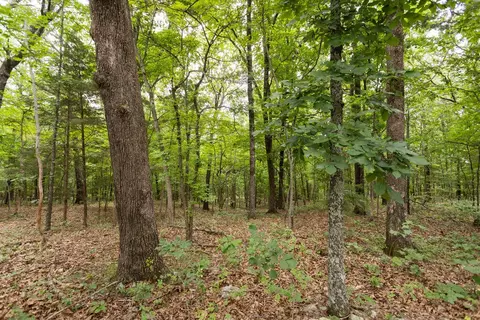 000 County Road Dd 447, Chadwick, MO 65629 photo 68
