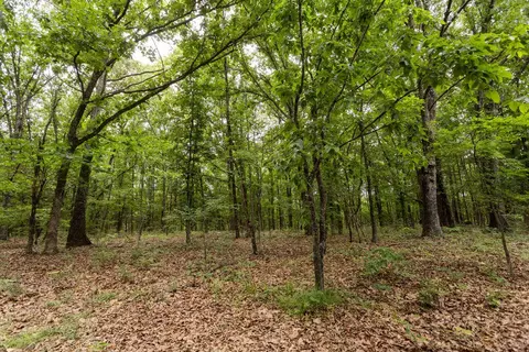 000 County Road Dd 447, Chadwick, MO 65629 photo 58