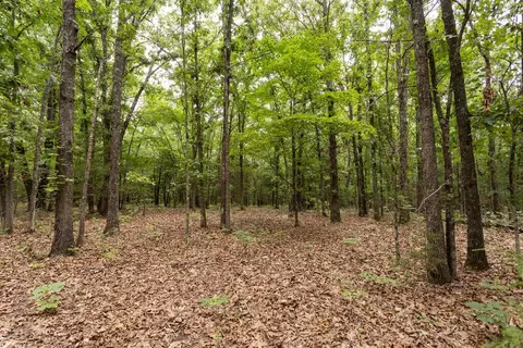 000 County Road Dd 447, Chadwick, MO 65629 photo 56