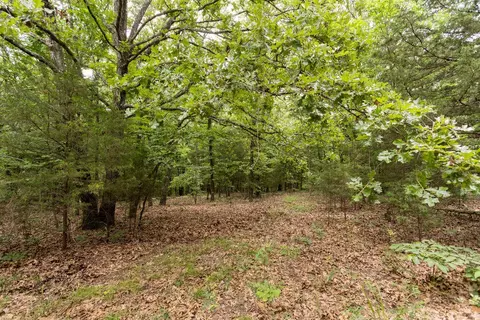 000 County Road Dd 447, Chadwick, MO 65629 photo 57